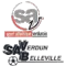 维丹