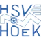 HSV胡克